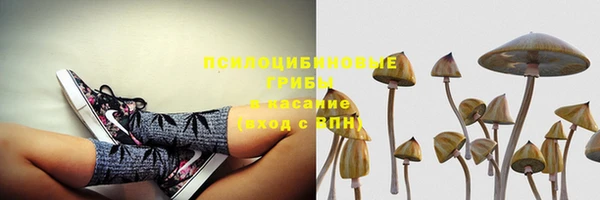 Альфа ПВП Алексеевка