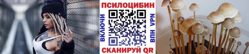 Галлюциногенные грибы мухоморы  как найти   Пошехонье 